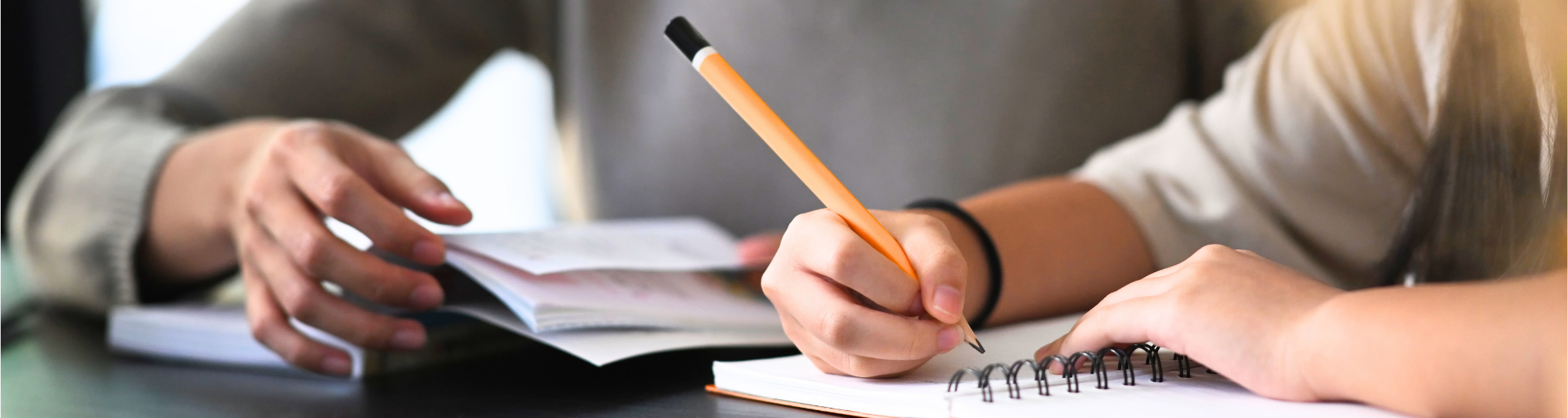 A private education specialist works with a young person on an assignment.